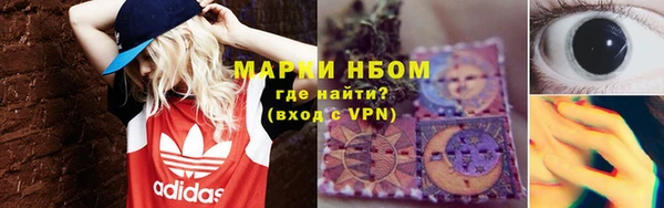 шишки Каменка
