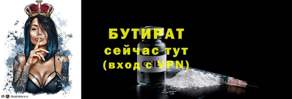 шишки Каменка