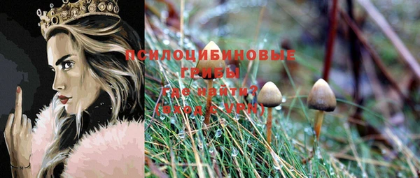 меф Каменск-Шахтинский