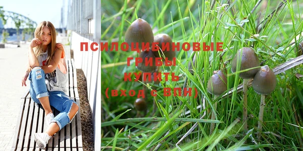 а пвп мука Инсар