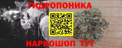 ECSTASY Кингисепп