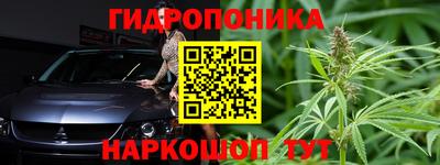 ECSTASY Кингисепп