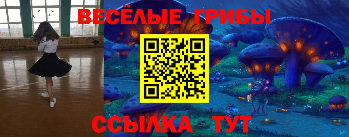 Клин  Галлюциногенные грибы Cubensis  Псилоцибиновые грибы Psilocybine cubensis  Вход с VPN 